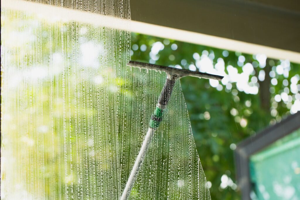 nettoyage vitres villeurbanne